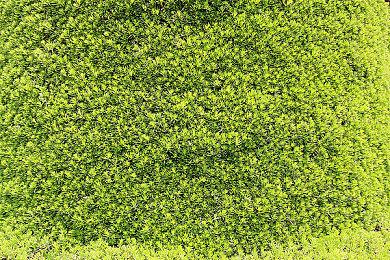 《轩辕剑7》主机版将于9月30日登陆欧美